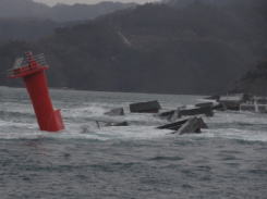 津波の被害状況写真