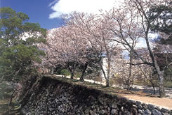 松阪城の写真